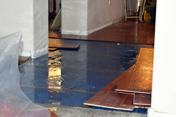 Professional Water Damage Restoration technician working in Highland Park, IL